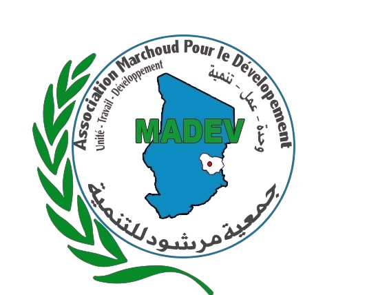 MADEV Logo